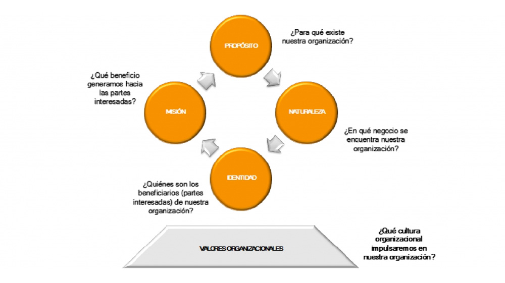 La importancia de la esencia organizacional para gestionar la complejidad