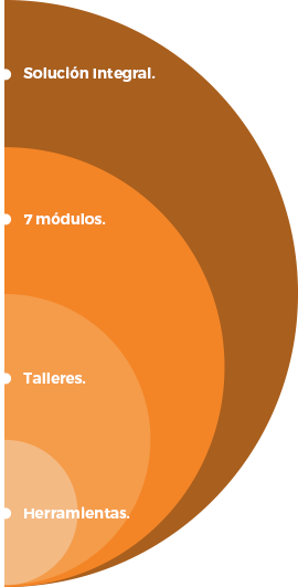 Diagrama de Solución Integral